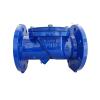 Resilient Seat Flex Swing Check Valve